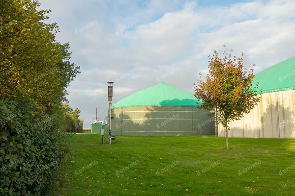 Environmental Stewardship